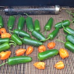 Making Chipotles at Home